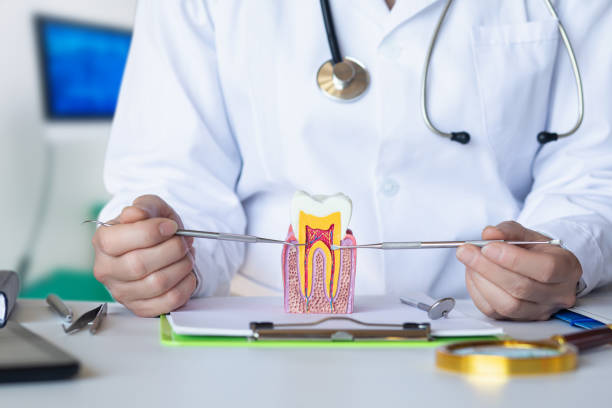 Tooth Infection Emergency Dentist in WI